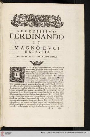 Serenissimo Ferdinando II. Magno Dvci Hetrvriæ