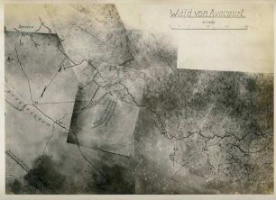 Foto des Waldes von Avocourt (Luftbild)
