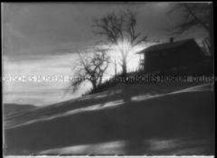 Winterlandschaft