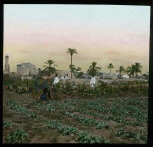 Lydda [Lod]