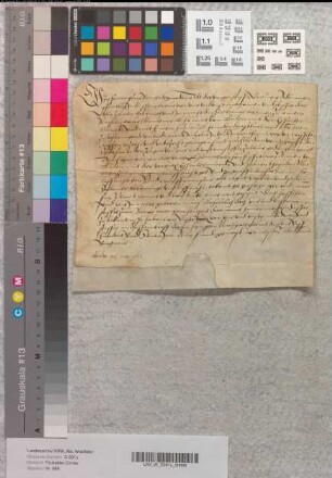 Lehnbrief des Abts Franz von Corvey in Betreff der Belehnung des Marsberger Bürgers Johann von Thülen.