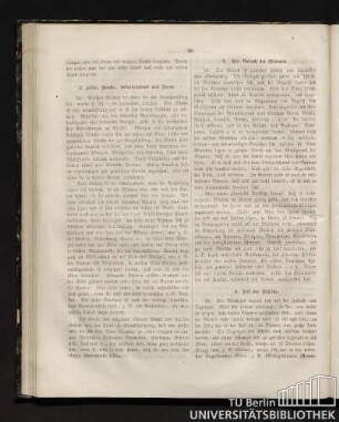 2. Höhe, Wuchs, Blüthenstand und Form
