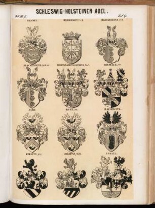 Taf. 9. Brackel. - Brockdorff, Fhr II. - Brockenhuus, St. W. - Brockenhuus, St.W., and. - Brockenhuus-Schack, Graf. - Bruselle, Fhr. - Burt. - Burt and. - Clausewitz. - Colditz (alt.). - Colditz, 1685. - Cossel