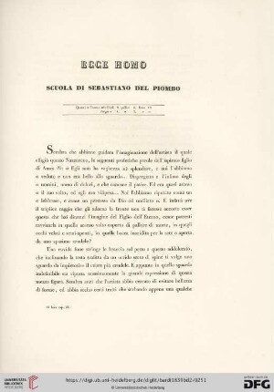 Sebastiano Del Piombo