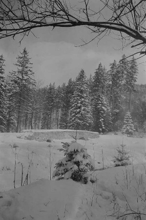 Rehefeld-Zaunhaus. Blick auf eine Brücke im Winter