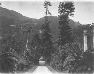Straße : Weg durch eine Parkanlage