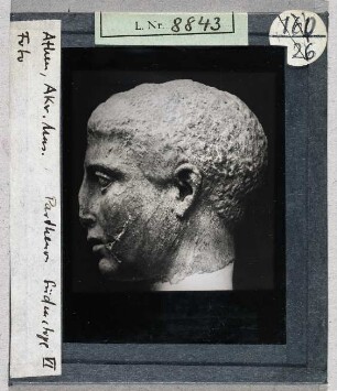 Athen, Parthenon: Süd-Metopen, VI. Athen, Akropolismuseum