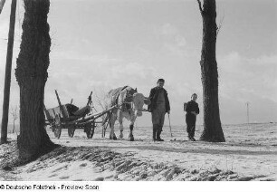 Ein Mann ein Kind mit Schulranzen sowie ein Leiterwagen ziehenden Ochsen in verschneiter Landschaft