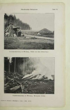 Holzkohlenbereitung im Oberharz. Meiler vor dem Inbrandsetzen