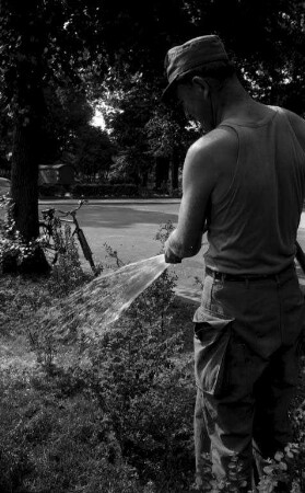 Pflege der städtischen Grünanlagen durch das städtische Gartenbauamt.