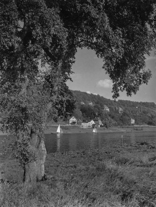 Dresden. Segelboote auf der Elbe zwischen Blasewitz und Pillnitz