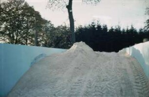 Fotografie: Fahrsilo, Lieschkolbenschrot