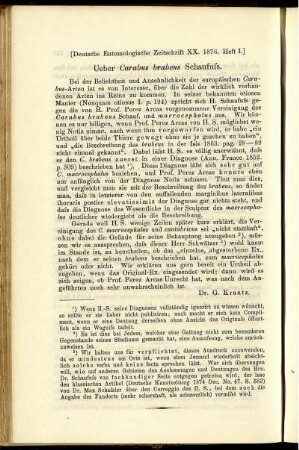 Ueber Carabus brabeus Schaufuss
