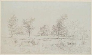 Wiesenlandschaft mit Tümpel und Baumgruppe