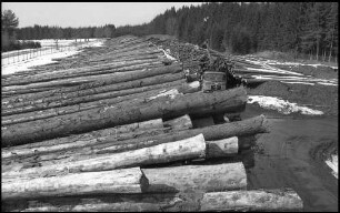 Rötenbach: Holzverarbeitungswerk Krebs, Langholzlager