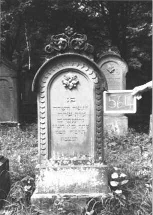 Grabstein 564 (Index: 99895410) Material: Sandstein Zustand: gut Maße HxBxT: 165x53x20 cm Beschreibung: Stele mit Rundbogenabschluss, kleiner Verdachung und Mittelakroter; Sockel Symbolik: Blüte: Grabstein 564 (1)