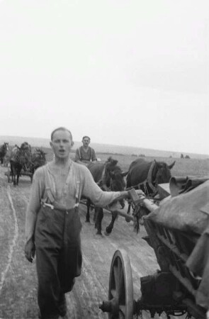Zweiter Weltkrieg. Frontbilder. Sowjetunion. Konvoi der deutschen Wehrmacht mit Pferdefuhrwerken