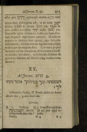 XX. Ad Jerem. XVII. 4.