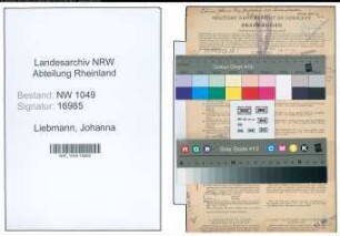 Entnazifizierung Johanna Liebmann , geb. 16.05.1905 (Technischer Angestellter)