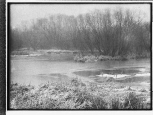 Stadtpark [Stadtpark Hamburg] (Hamburg-Winterhude): Landschaftsbild : SchumacherWV Nr. 130