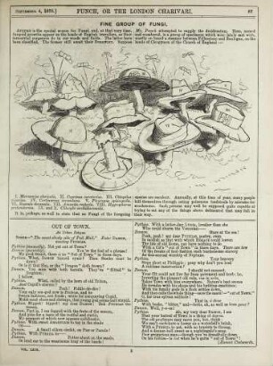 Fine group of fungi