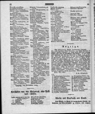Conchylien von den Malouines oder Falkland - Inseln