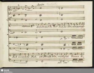 Recit[ati]vo [acc.:] Gib ihm auch du mein Geist