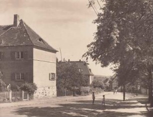 Ruscheweg : Dresden-Hellerau, Ruscheweg, Blick nach dem Markt, 1949