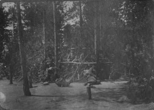 Erster Weltkrieg - "Kriegserinnerungen an Nordfrankreich und die Vogesen". "Vor Reims (Dép. Marne): Waldlager"