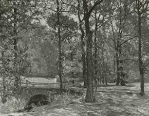 Kleine Waldbrücke bei Drehfeld