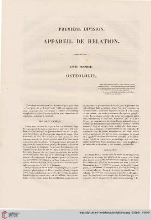Première division: Apparel de relation
