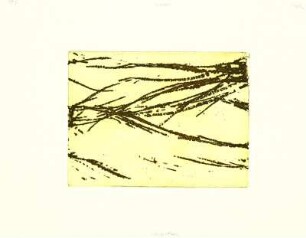 WOLKIG/WIESENTHAL