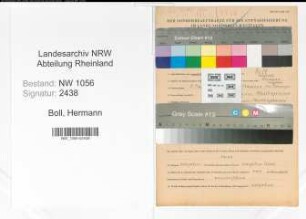 Entnazifizierung Hermann Boll , geb. 01.05.1895 (Angestellter)