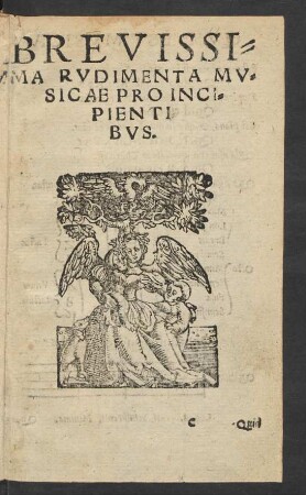 Brevissima Rudimenta Musicae Pro Incipientibus.