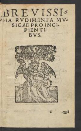 Brevissima Rudimenta Musicae Pro Incipientibus.