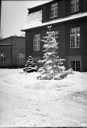 Radebeul-Kötzschenbroda, Fabrikstraße 27. Elektroarmaturenwerk JWH. Verwaltungsgebäude (1921). Teilansicht mit Weihnachtsbaum