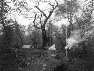 Zeltlager : Blick auf ein Zeltlager in einem Wald