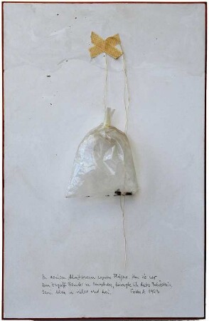 104 Fliegenfalle
