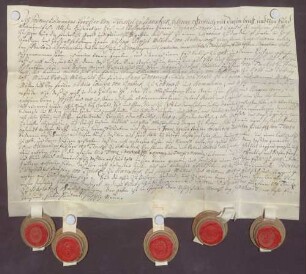 Instrumentum probationis des Jodok Edelmund Twickel von Havixbeck.
