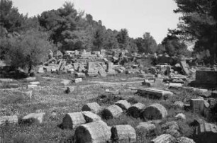Reisefotos Griechenland. Ruine des Zeus-Tempels