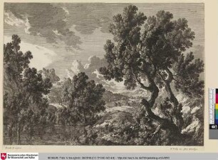 [Waldlandschaft mit Wanderern]