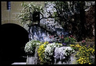Burgdorf: Blumen am Schlossaufgang