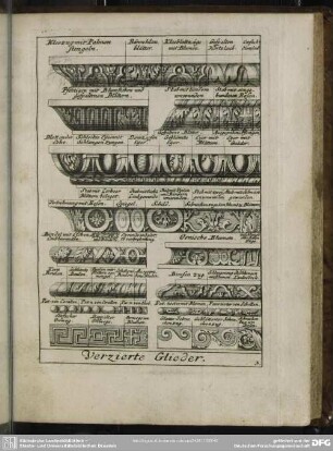 3. Verzierte Glieder