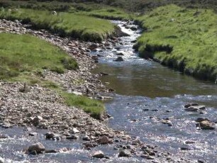 Gebirgsfluss im schottischen Hochland bei Breamar