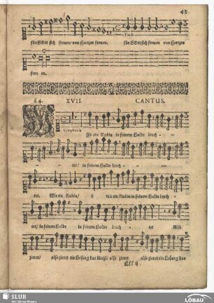 XVII. Wie ein Rubin in seinem Golde leuchtet