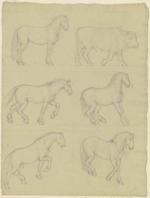 Studienblatt: Fünf Pferde und ein Rind
