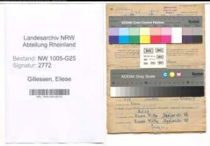 Entnazifizierung Eliese Gillessen , geb. 28.05.1905 (Kauffrau)