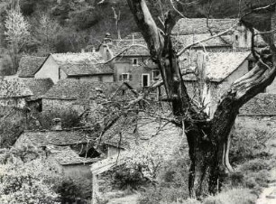 Bergdorf in den Cevennen