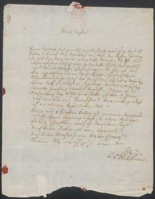 Carl Ludwig Willdenow an Johann Karl Philipp Spener