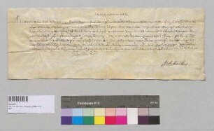 Papst Innozenz X. gewährt dem Karmelitenkloster in Straubing einen Ablass. S: Papst Innozenz X.